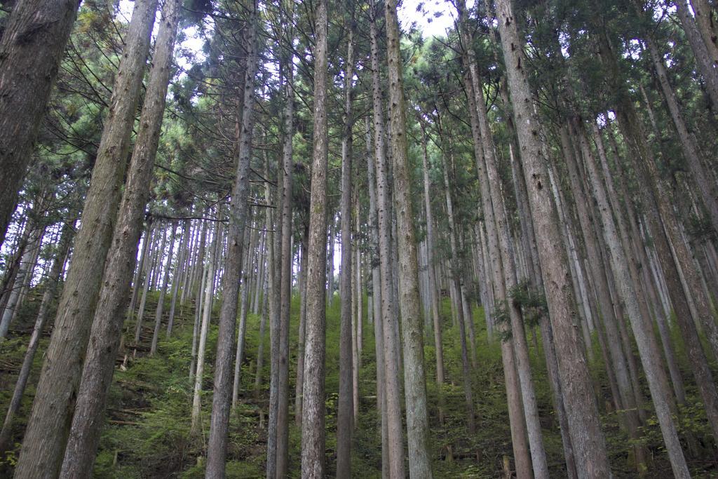 Otsu Nature Garden Akiruno Exteriör bild